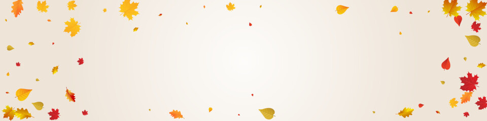 Yellow Floral Vector Panoramic Transparent