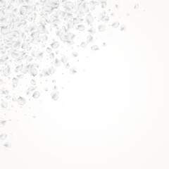 Pastel Blossom Vector Light Background. Gray