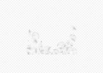 Gray Peach Vector Transparent Background. Snowy