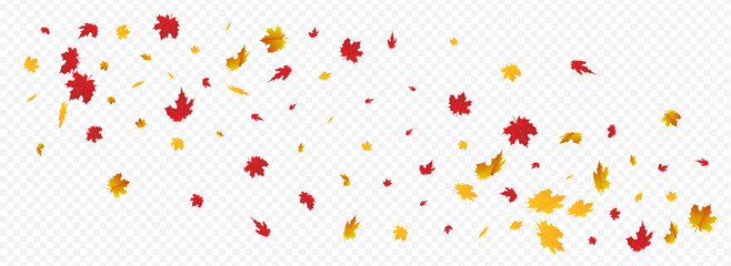 Golden Leaves Vector Panoramic Transparent