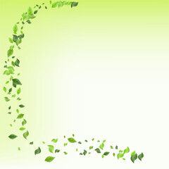 Lime Foliage Motion Vector Green Background