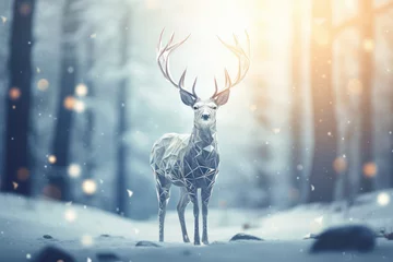 Poster a deer standing in a snowy forest with a light shining,deer standing in a winter © kiatipol