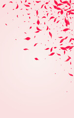 Scarlet Peach Vector Pink Background. Blur Rose