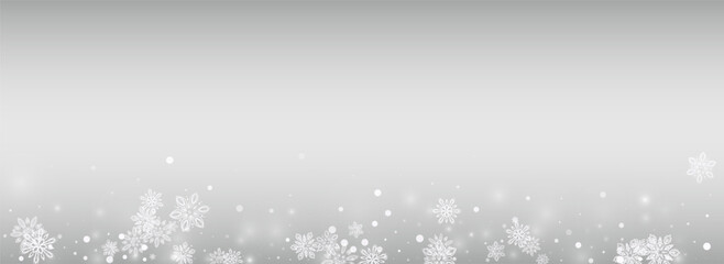 Winter Snowflake Vector Silver Panoramic