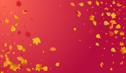 Red Foliage Vector Red Background. Tree Leaf