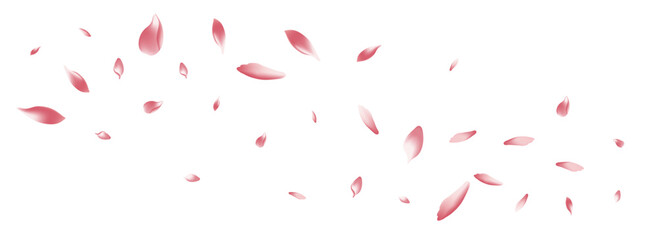 Fototapeta na wymiar Pastel Peach Petal Vector White Background. Pink