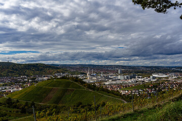 View from the mountain to vineyards.