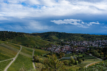 View from the mountain to vineyards.