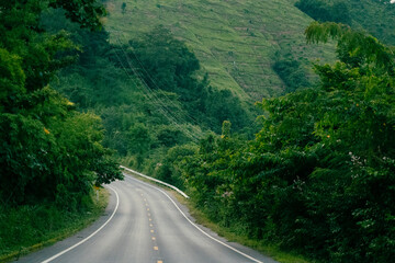 path, road, mountain, natural green
