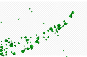 Swamp Leaves Swirl Vector Transparent Background