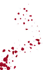Red Flower Falling Vector White Background.