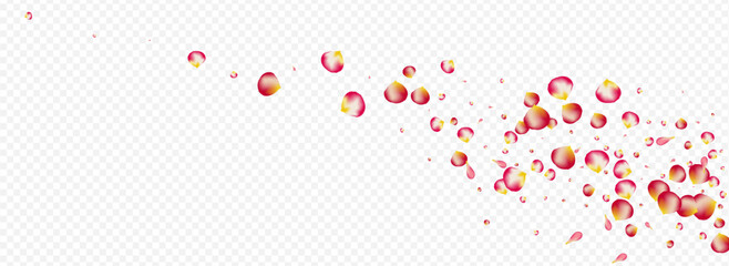 Beautiful Rose Flying Vector Panoramic