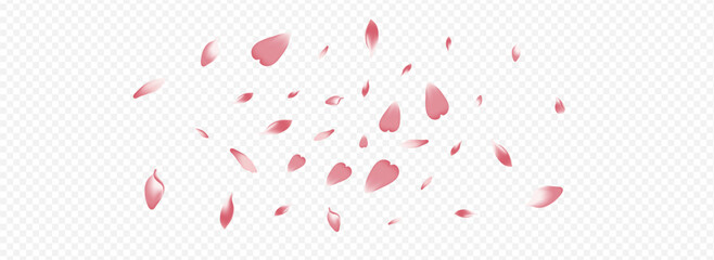 Light Rose Vector Panoramic Transparent