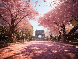 Fotobehang Beauty of Cherry Blossom Festival © SOL