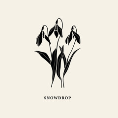 Flat vector snowdrop flower illustration	
