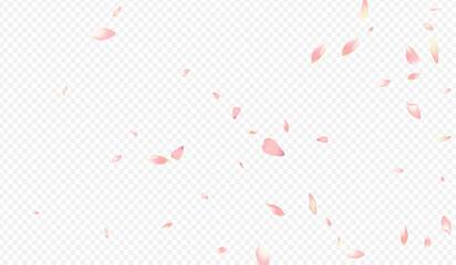Bright Bloom Vector Transparent Background.