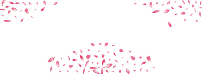 Pastel Lotus Petal Vector White Background. White