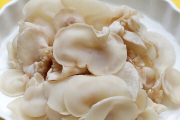 White jelly mushroom or white ear mushroom