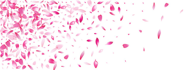 Color Sakura Petal Vector Panoramic Background.