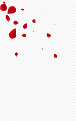 Pink Blossom Japanese Vector Transparent