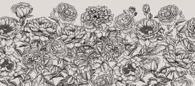 Seamless horizontal vector garden pattern of peonies and roses in engraving style