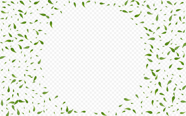 Swamp Greens Swirl Vector Transparent Background