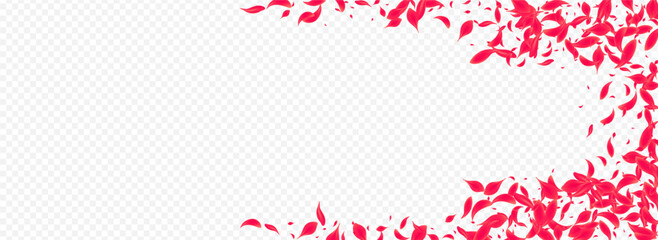 Obraz na płótnie Canvas Red Petal Vector Transparent Panoramic