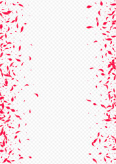 Red Cherry Vector Transparent Background. Japan
