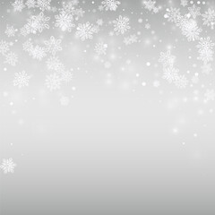 Winter Snow Vector Silver Background. Magic