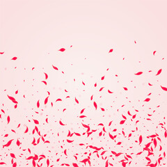 Obraz premium Ruby Rose Vector Pink Background. Japanese Lotus