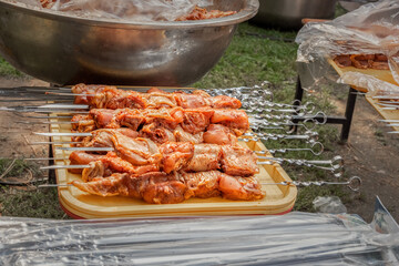 Marinated raw meat on metal skewers for outdoor grilling. BBQ, grill, picnic