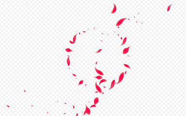 Red Sakura Vector Transparent Background. Summer