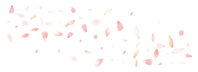 Pink Flower Petal Vector White Background. Color - obrazy, fototapety, plakaty