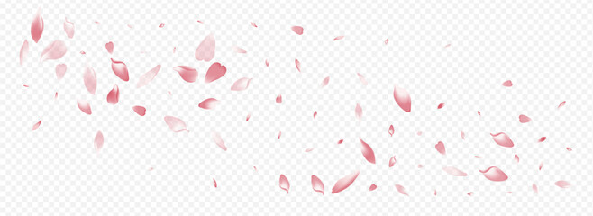 Pink Lotus Vector Panoramic Transparent - obrazy, fototapety, plakaty