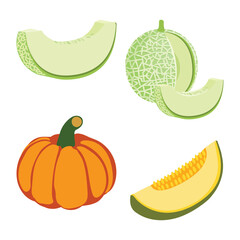 Set of fresh Cantaloupe melon and Pumpkin slices Pro Vector.