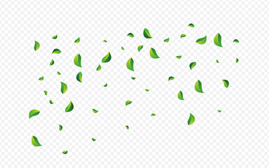 Forest Greens Flying Vector Transparent