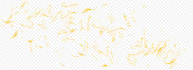 Light Petal Blur Vector Panoramic Transparent