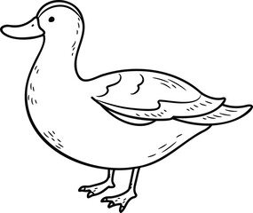 Simple and adorable Duck illustration with only outlines