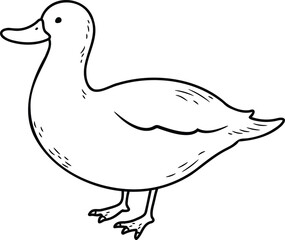 Simple and adorable White Duck illustration with only outlines