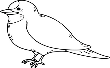 Simple and adorable Swallow illustration with only outlines