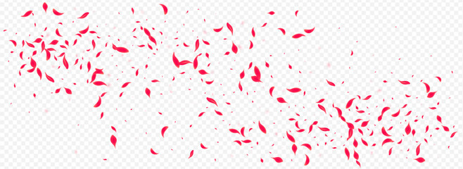 Pink Petal Vector Transparent Panoramic