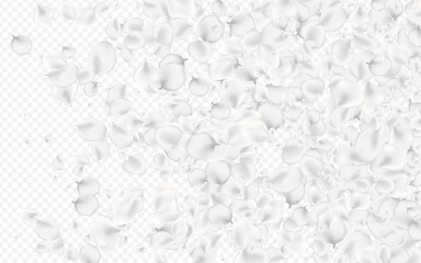 Snowy Petal Vector Transparent Background.