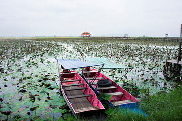 Landscape landmark of Natural Study Center Freshwater Marsh and Bueng Bua Khao Sam Roi Yot National...