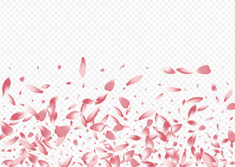 White Flower Vector Transparent Background.