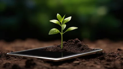 Foto op Plexiglas the plant grows on the tablet. business concept © HN Works
