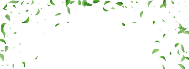 Grassy Leaf Ecology Vector Panoramic White