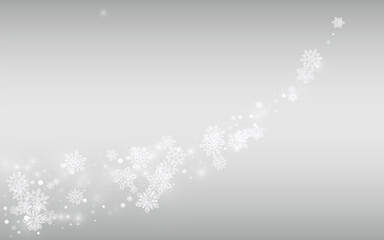 Winter Snowflake Vector Silver Background. New