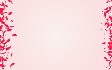 Carmine Floral Vector Pink Background. Blur Rose