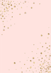 Golden Confetti Bridal Pink Background. Shiny