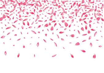 Color Sakura Petal Vector White Background.